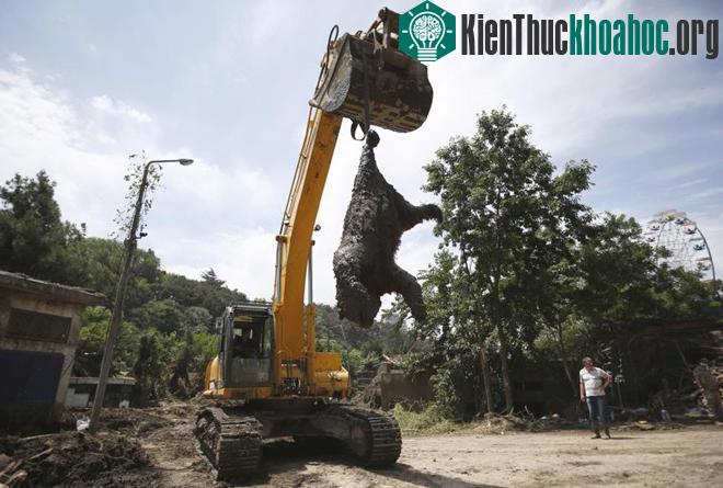 Những hình ảnh khó quên về thảm họa môi trường 2015