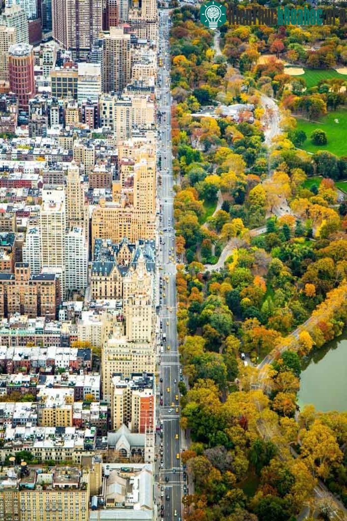 100 bức ảnh "đẹp khó tin" chưa từng qua photoshop- ảnh 5