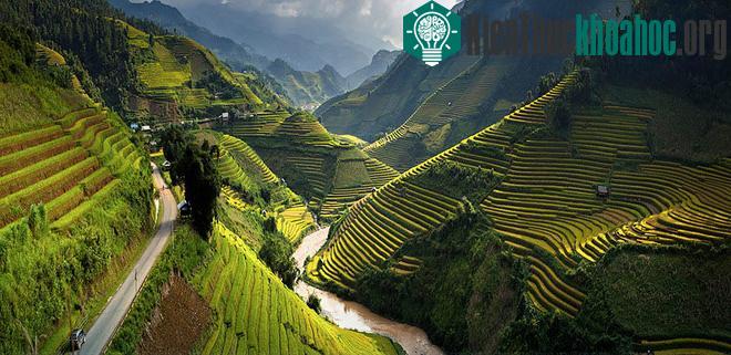 Sững sờ trước những ruộng bậc thang đẹp nhất trên khắp thế giới- ảnh 5
