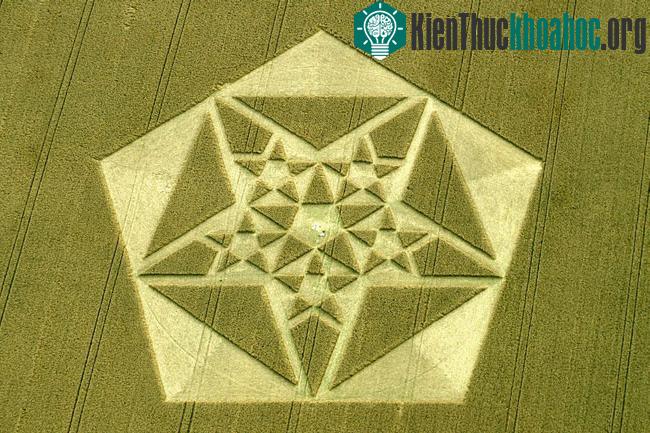 Những vòng tròn bí ẩn trên cánh đồng- ảnh 5