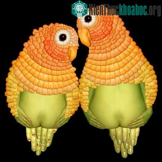 Ảnh nghệ thuật tuyệt đẹp từ người mẫu khỏa thân ảnh 4
