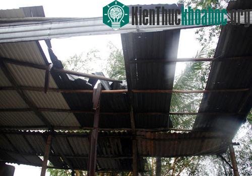 Thống kê ban đầu, tỉnh Quảng Trị có 3.000 ngôi nhà bị tốc mái, tập trung ở hai huyện Vĩnh Linh và Gio Linh.