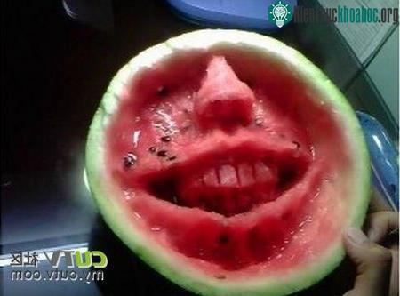 Tạo hình thú vị trên dưa hấu bằng thìa ảnh 4