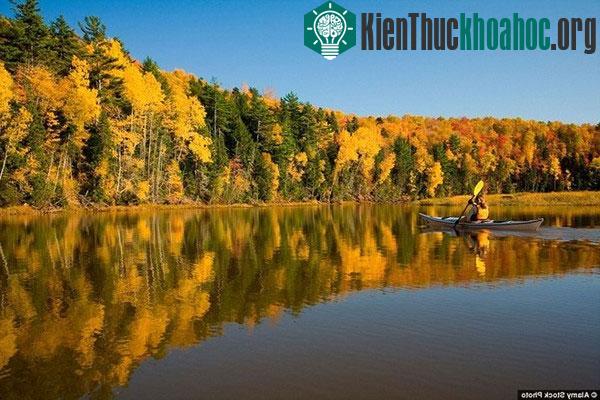 Những bức tranh "mùa thu vàng" tuyệt đẹp ở các nước- ảnh 6