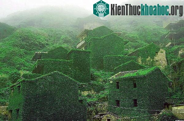 Cảnh đẹp thần tiên của Trung Quốc trên báo Anh- ảnh 6