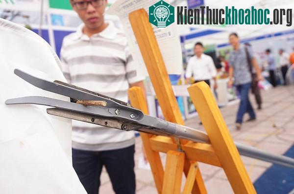 Nông dân "trình diễn" sản phẩm tại chợ khoa học