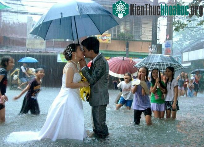 10 khoảnh khắc cảm xúc lay động trái tim