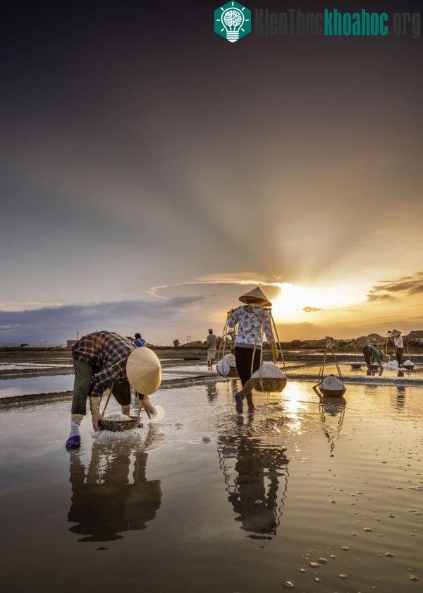 "Đi về nơi ánh sáng..." của tác giả Trịnh Quang Minh. Quang cảnh lao động của diêm dân trên cánh đồng muối Hòn khói - Khánh Hoà.