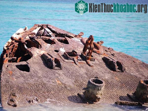 Nhờ hoạt động bảo tồn nghiêm ngặt, tàu đắm dưới đáy biển Bermuda vẫn giữ được trạng thái nguyên vẹn dù tồn tại qua hàng trăm năm và chịu tác động của điều kiện thời tiết khắc nghiệt.