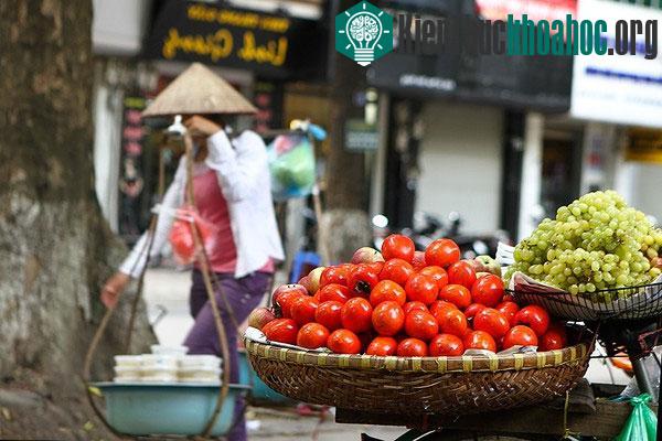 …với đủ loại hoa trái từ mọi vùng quê