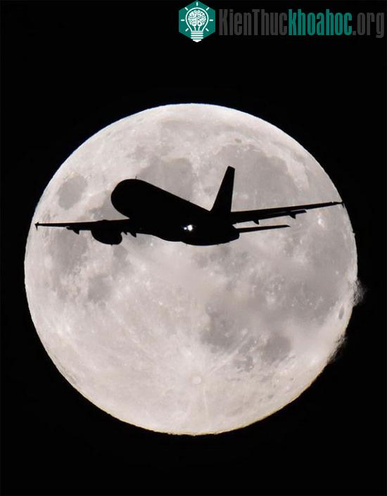 Ở London, Anh - (Ảnh: Reuters)