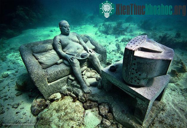 Sau một thời gian, san hô sẽ mọc dần trên những bức tượng, tạo nên vẻ đẹp pha trộn giữa tự nhiên và nhân tạo đầy tính nghệ thuật.