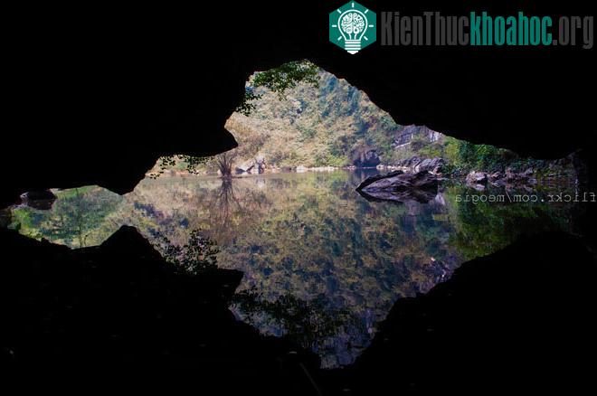 Đến với khu danh thắng Tràng An, du khách lần lượt được đưa qua các thủy động, các thủy động được nối với nhau bởi các thung.