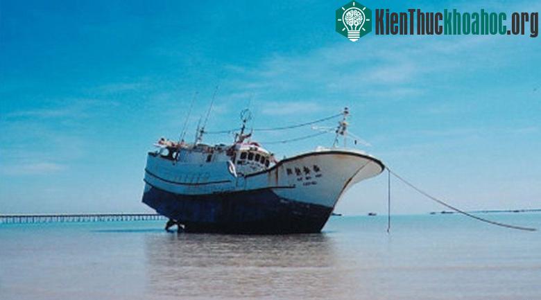 Tàu High Aim 6
