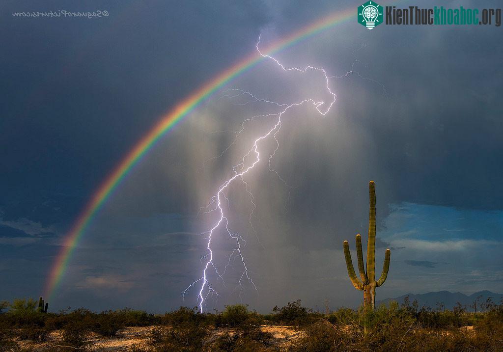 Cảnh tượng sét xuất hiện cùng cầu vồng hiếm thấy ở Tucsan, bang Arizona, Mỹ.