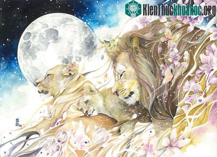 Cảm hứng lớn nhất để tạo nên các tác phẩm của Jongkie là các sinh vật trong thế giới tự nhiên.