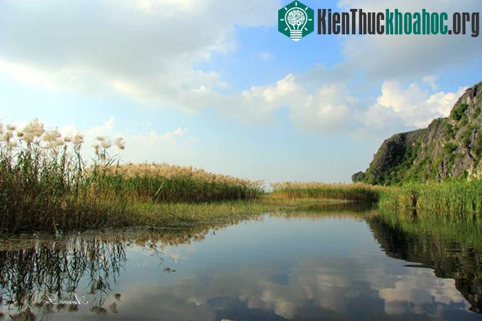 Lướt trên thuyền tham quan đầm Vân Long, bạn sẽ cảm nhận được về một vịnh nước trong vắt như gương, phẳng lặng không một gợn sóng. Hai bên đầm là những bãi lau sậy, nơi trú ẩn của nhiều loài chim. ...