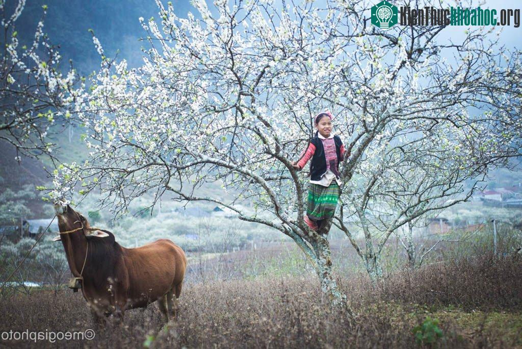 Khung cảnh bình yên trong một bản nhỏ ở gần quốc lộ 6.