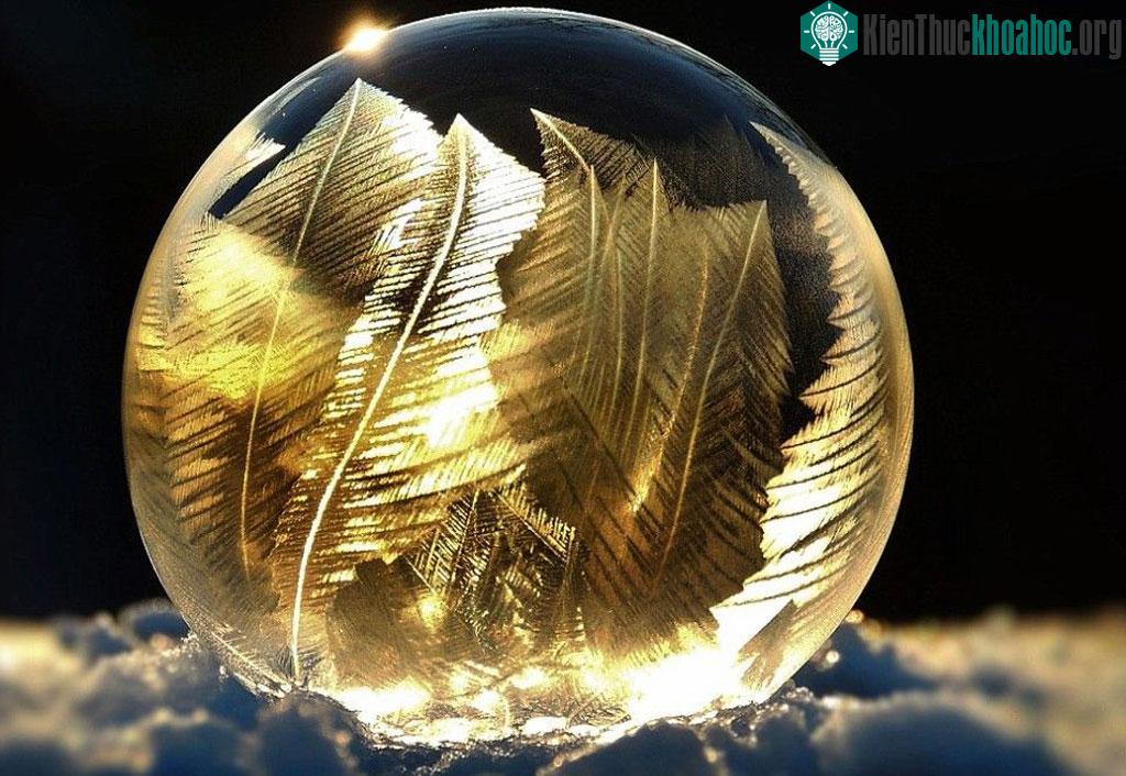 Bong bóng trở nên lộng lẫy hơn trong giá rét và ánh mặt trời.