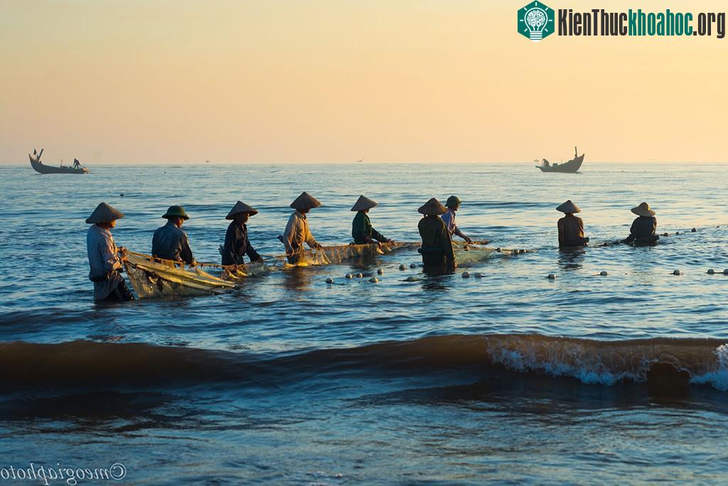 Chứng kiến tận mắt mới hiểu được nỗi vất vả cực nhọc của người dân làm nghề chài lưới để có được những mẻ cá tươi ngon.