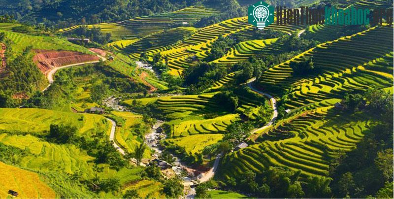 Những cung đường vàng ở xã Sán Xả Hồ.