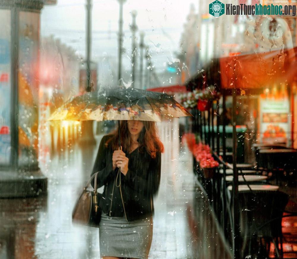Bộ ảnh đẹp như tranh giúp “thắp sáng ngày mưa” ảnh 5