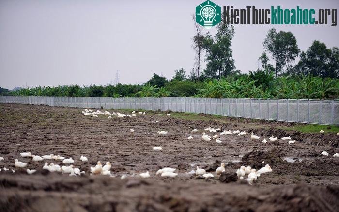 Ngắm cao tốc hiện đại nhất Việt Nam trước ngày thông xe