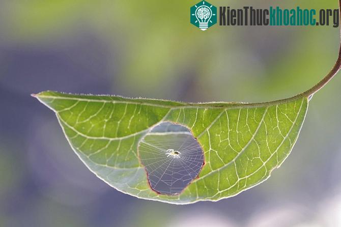 100 bức ảnh "đẹp khó tin" chưa từng qua photoshop- ảnh 6