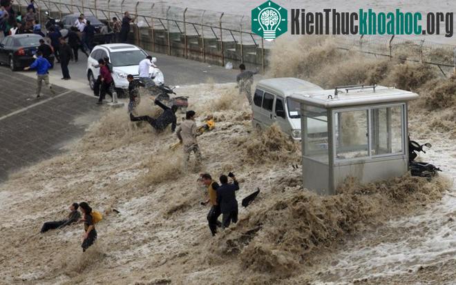 Những hình ảnh khó quên về thảm họa môi trường 2015