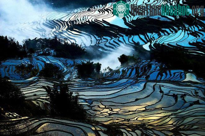 Sững sờ trước những ruộng bậc thang đẹp nhất trên khắp thế giới- ảnh 6