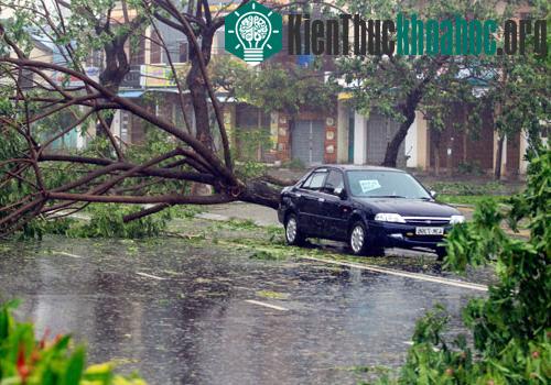 Nhiều xe phải bỏ lại giữa đường từ đêm qua.