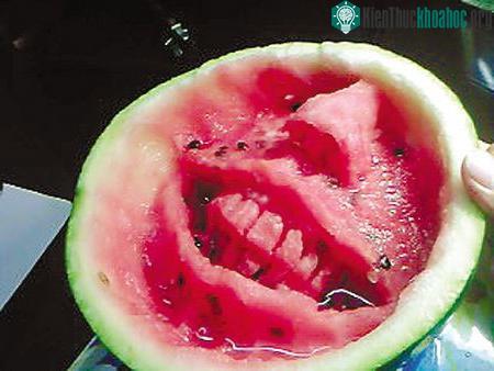 Tạo hình thú vị trên dưa hấu bằng thìa ảnh 5