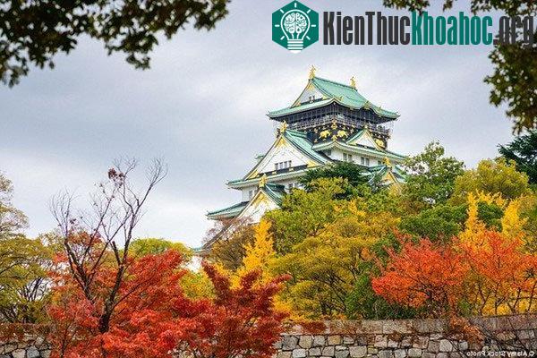 Những bức tranh "mùa thu vàng" tuyệt đẹp ở các nước- ảnh 7