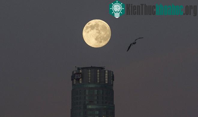 Ngắm siêu trăng đầu tiên của mùa thu 2015