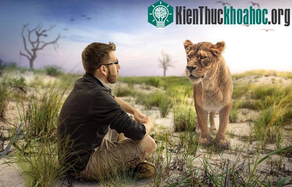 Bộ ảnh "siêu tưởng" của Dan King