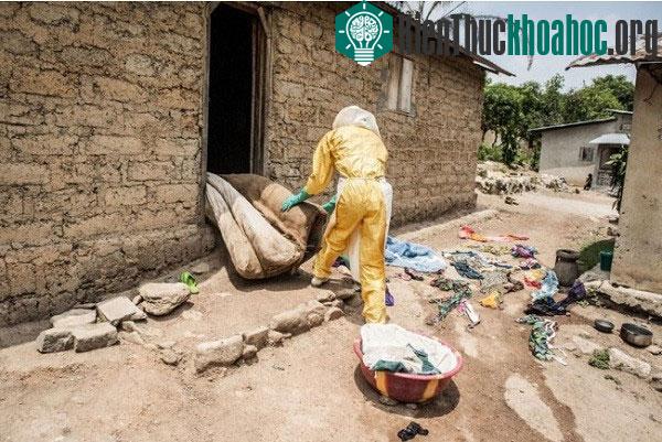 Hành trình virus Ebola phá hoại cơ thể người trong bộ hình ám ảnh- ảnh 7