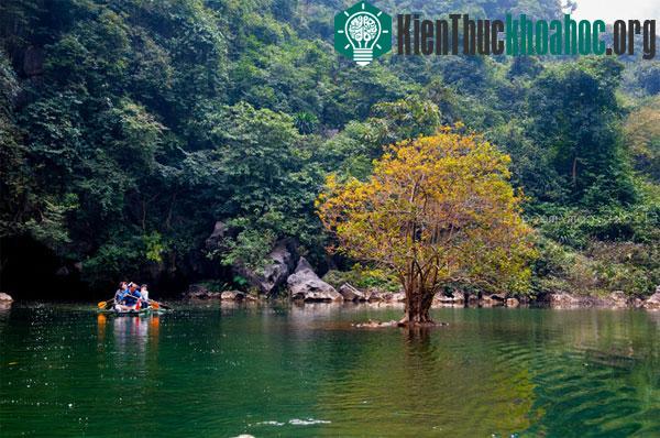 Mỗi thung lại là một bức tranh thủy mặc với vẻ đẹp khác nhau của núi non, cây cối.