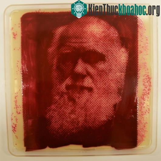 Nhà nghiên cứu tự nhiên học Charles Robert Darwin.