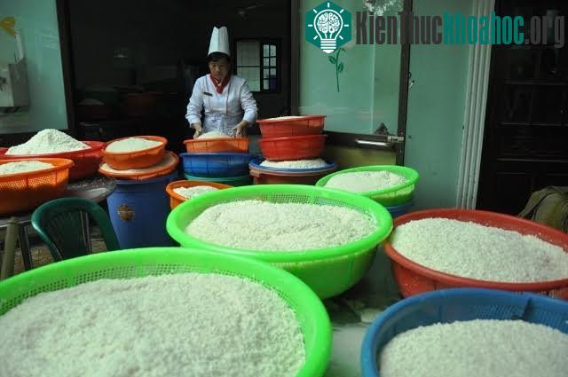 Chiếc bánh chưng "khủng" với trọng lượng 2,5 tấn, được làm từ 1,2 tấn nếp, 300kg đậu xanh, 200kg thịt heo, 300kg lá chuối và 50kg lá dong.
