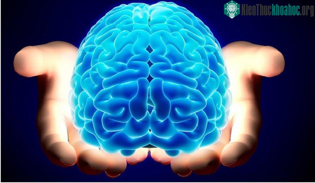 Bí ẩn cơ thể con người