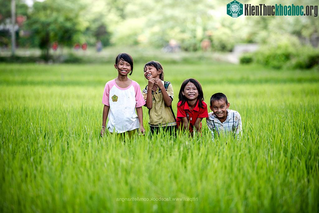 Những ngày lúa còn lên đòng, bọn trẻ con thường đi vợt châu chấu, muồm muỗm về nướng thơm lừng!