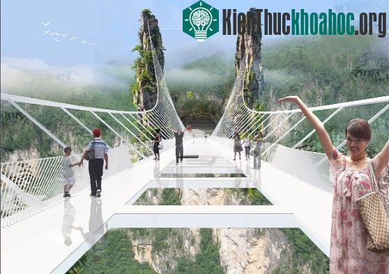 Ông Dotan cho biết cây cầu có thể làm sàn catwalk cho các chương trình biểu diễn thời trang.