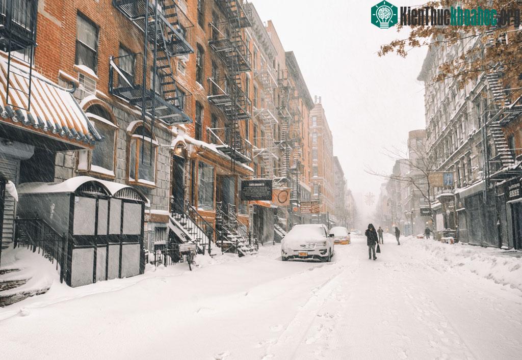 Dân New York vốn nổi tiếng có nhịp sống vô cùng nhộn nhịp, đây có lẽ chính là dịp hiếm hoi để họ chững lại và cảm nhận cái đẹp từ thành phố vội vàng này.
