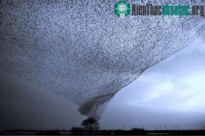100 bức ảnh "đẹp khó tin" chưa từng qua photoshop- ảnh 7
