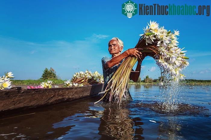 20 hình ảnh tuyệt đẹp về Việt Nam
