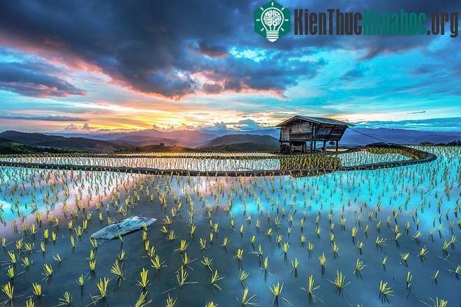 Sững sờ trước những ruộng bậc thang đẹp nhất trên khắp thế giới- ảnh 7