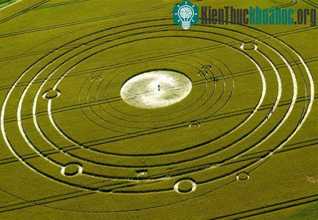 Những vòng tròn bí ẩn trên cánh đồng- ảnh 7