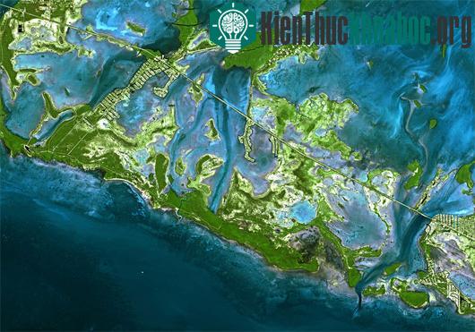 Florida Keys: Đây là một quần đảo với hơn 1000 đảo lớn nhỏ và san hô. Một số đảo nhỏ nơi đây chưa có người ở và bị bao phủ bởi cây đước, một số đôi khi bị nhấn chìm bởi các cơn bão, một phần là do ...