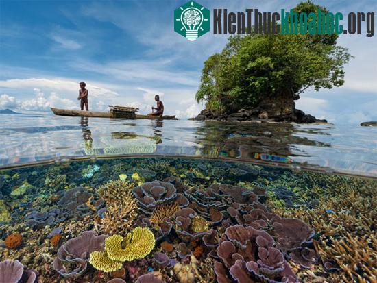 Bãi san hô tuyệt đẹp được che chắn bão, gió bởi một đảo gần đó.