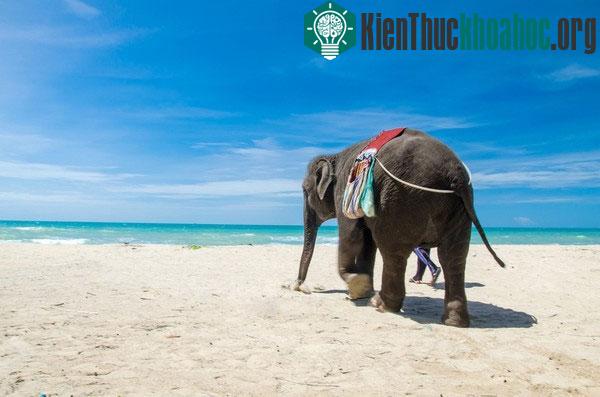 Phuket, Thái Lan